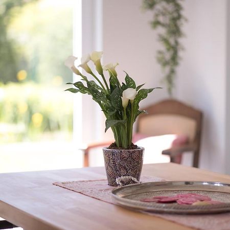 Ferienwohnung Schwalbennest Weinsheim  エクステリア 写真