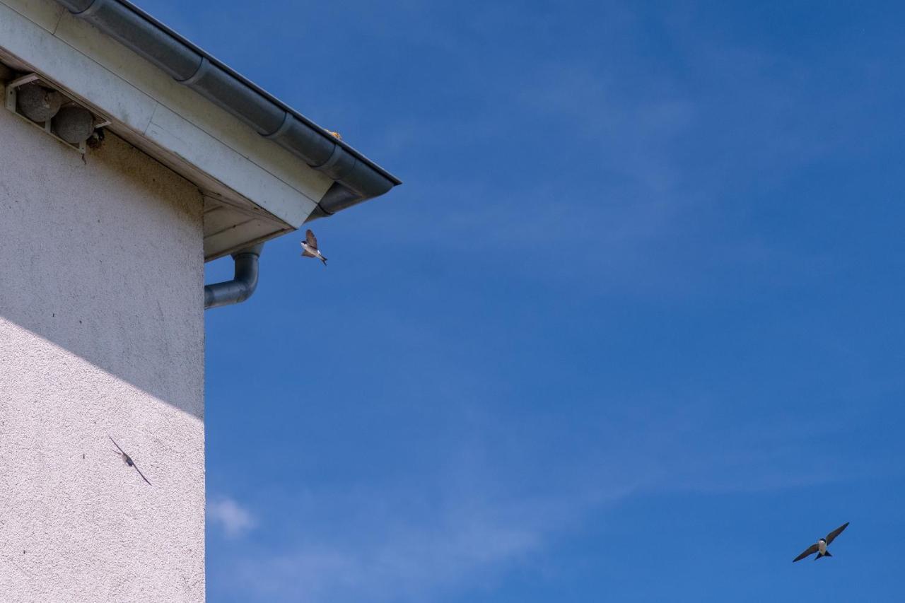 Ferienwohnung Schwalbennest Weinsheim  エクステリア 写真