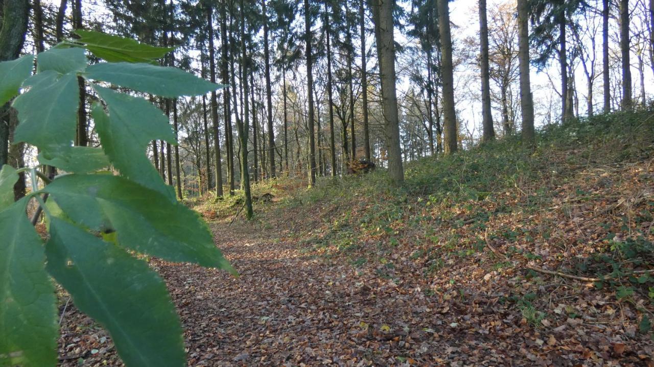 Ferienwohnung Schwalbennest Weinsheim  エクステリア 写真