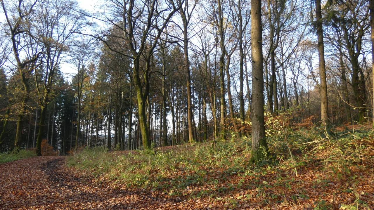 Ferienwohnung Schwalbennest Weinsheim  エクステリア 写真