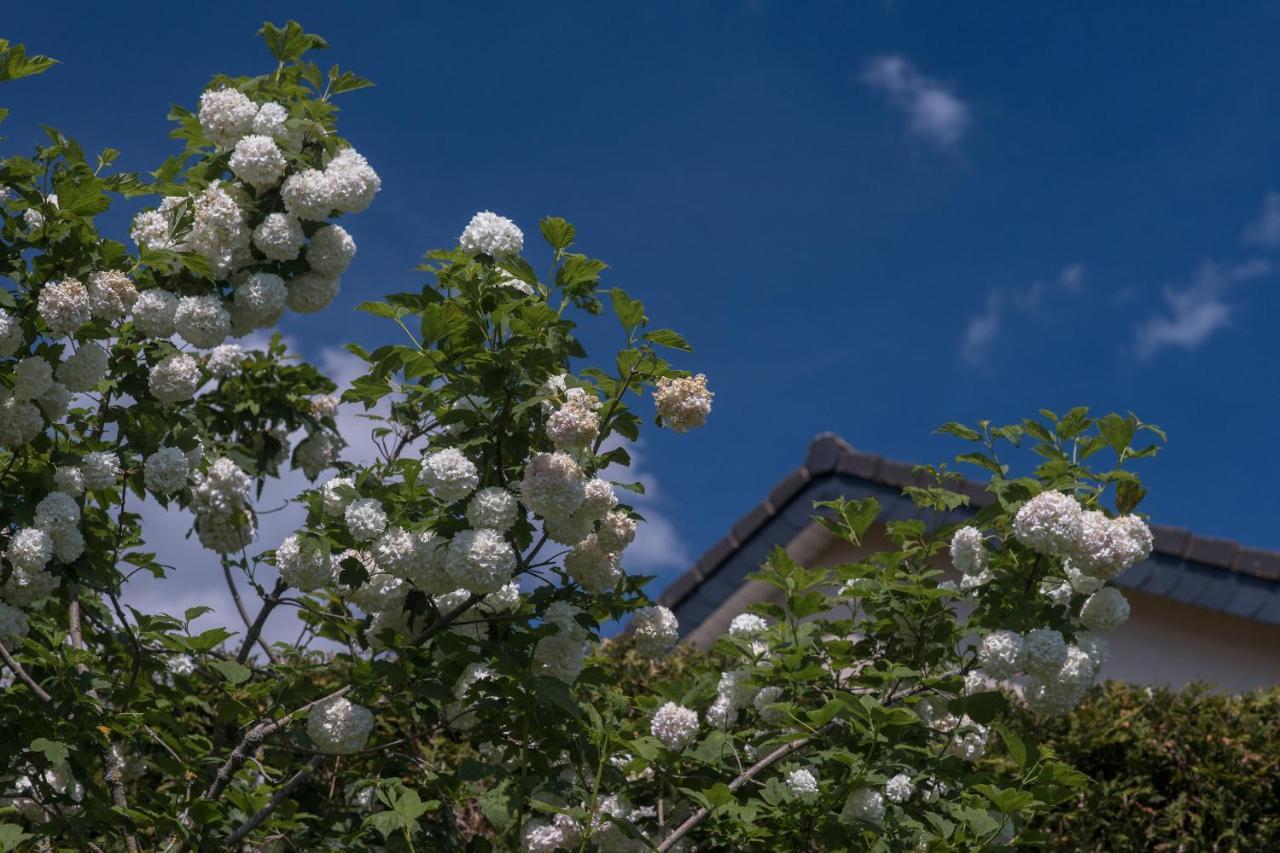 Ferienwohnung Schwalbennest Weinsheim  エクステリア 写真