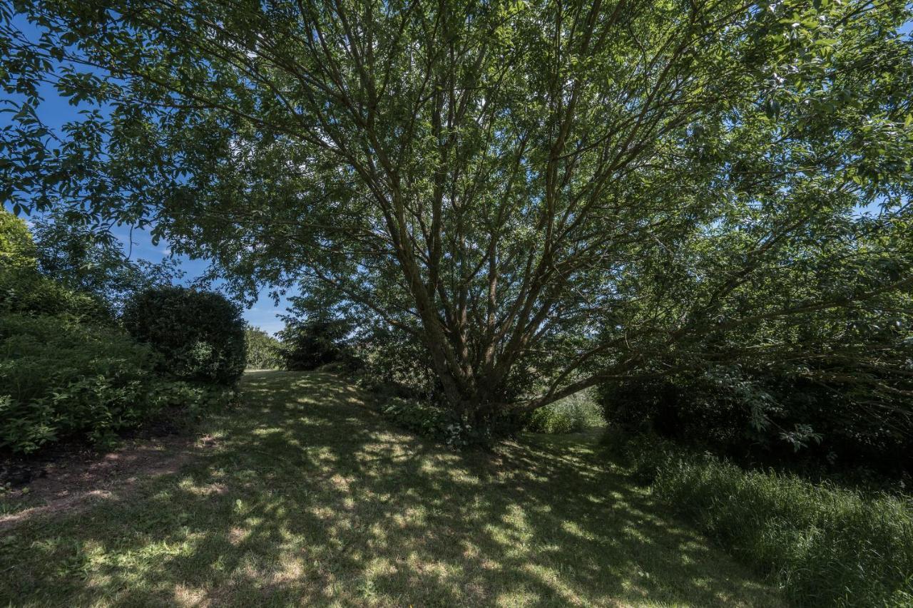 Ferienwohnung Schwalbennest Weinsheim  エクステリア 写真
